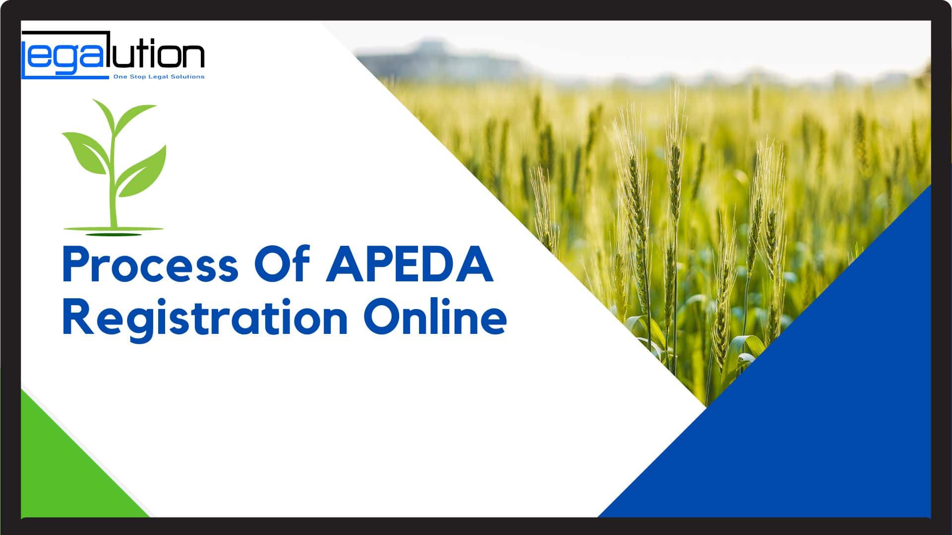 Easy Process of APEDA Registration Online: Explained